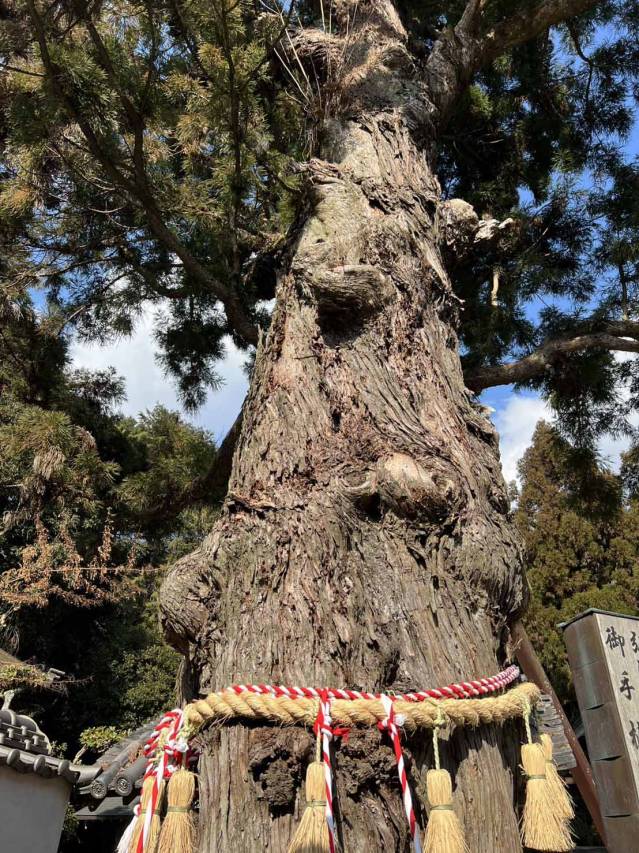 【ナベティ～】お店は長生きしてこそ！の巻