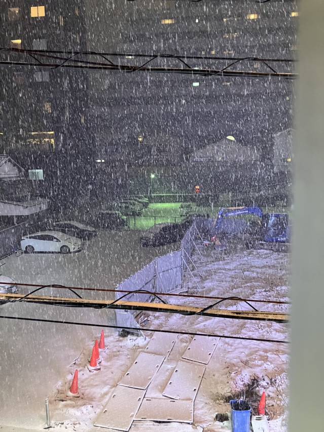 雪でテンション上がってました