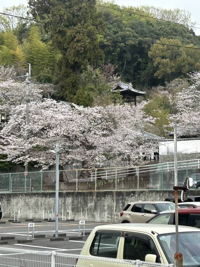 4月の初入店！！
