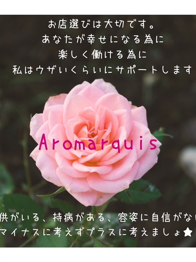 アロマーキスの待遇