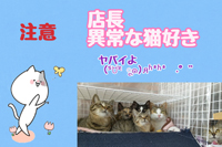 【優良店】～Maria4