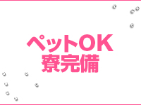 SCREEN　スクリィーン3