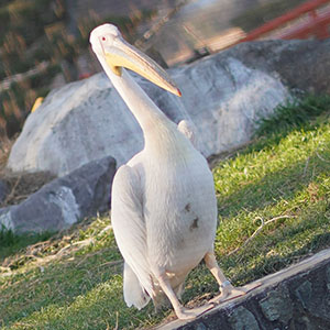 本日撮影をしてきました