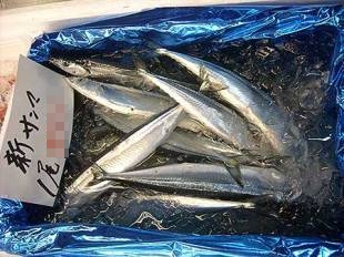 【真島ぶろぐ】やつがひそんでいる