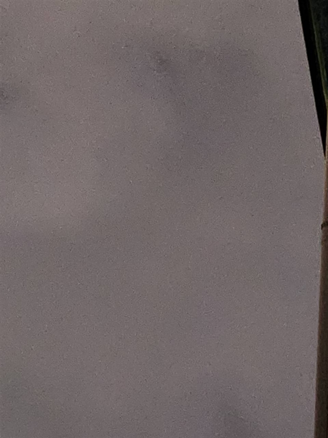 【真島ぶろぐ】初雪は寒かったのじゃ