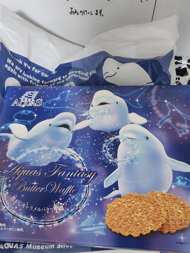 【真島ぶろぐ】なごーーり雪のぉーー