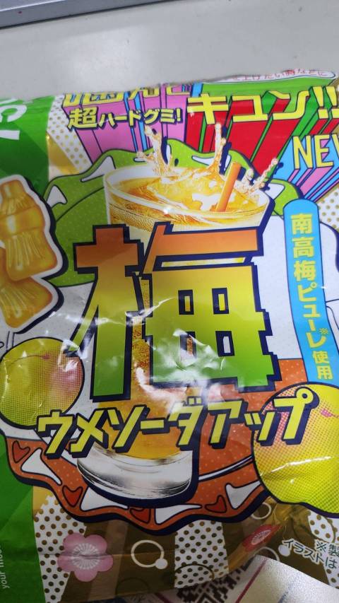 【真島ぶろぐ】梅グミ発見