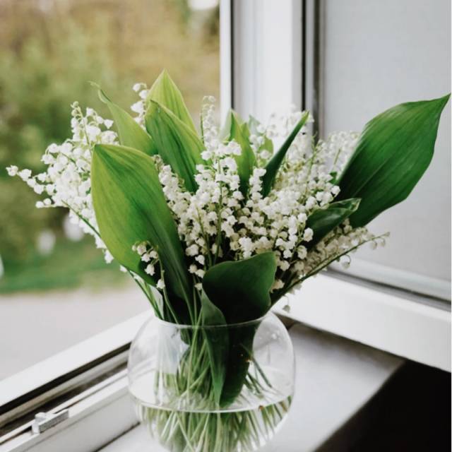 Ｑ&Ａ お店の強みを教えてください！