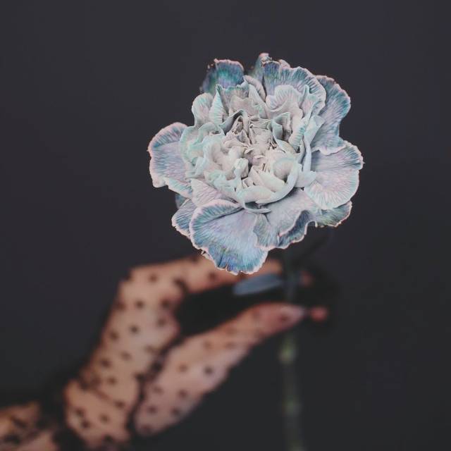 お仕事を始めるにあたって不安がありますがフォローはしてもらえますか？