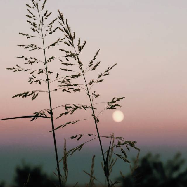 掛け持ちに関して