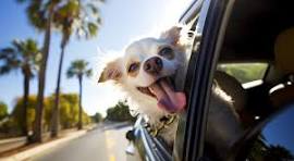 日本一小さい香川と言えど