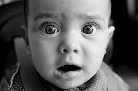 やっちまったなぁ!!