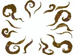 にほいが･･･