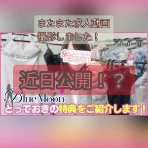 店長ブログを書く際のこだわりは？