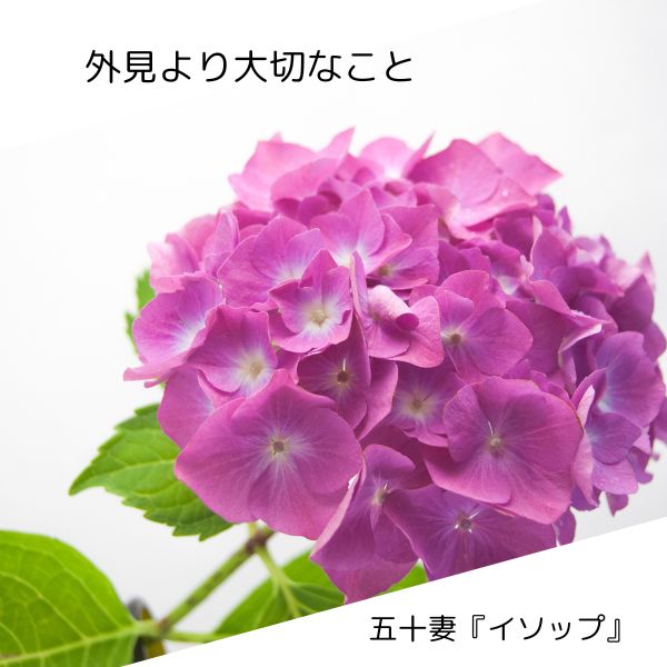 容姿より大切なこととは