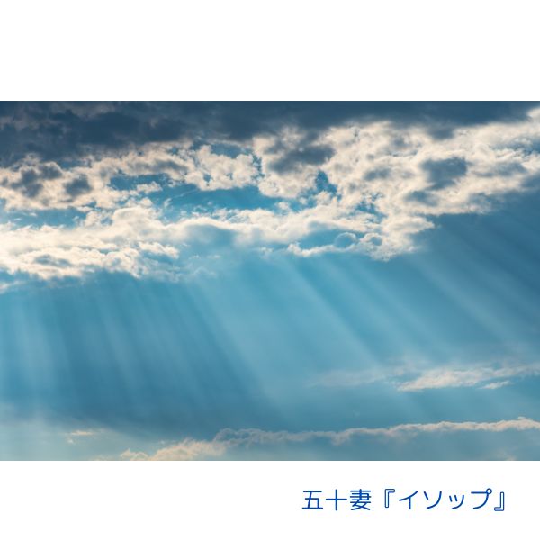 貴女の疑問にお答えします！