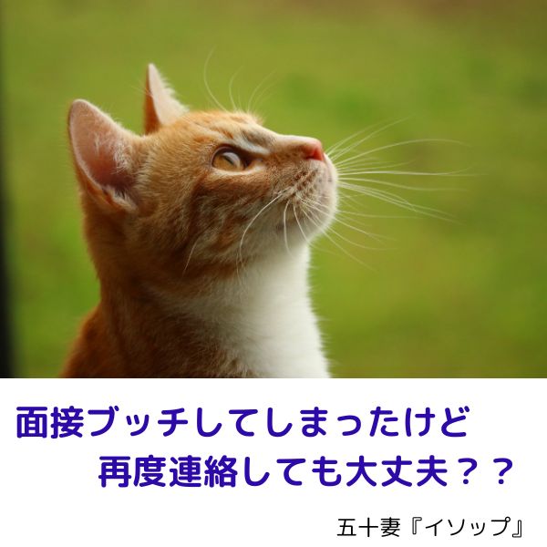 過去に面接ブッチしてしまいました…