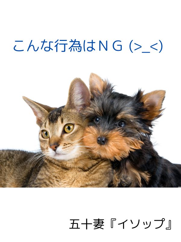 こんな行為はNG！