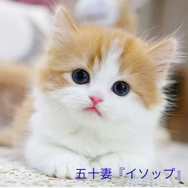 高収入をgetしたい貴女！