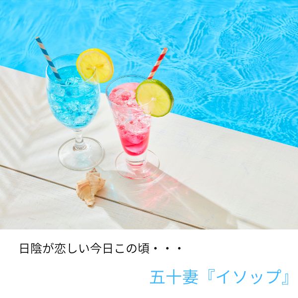 お給料の交渉は可能ですか？