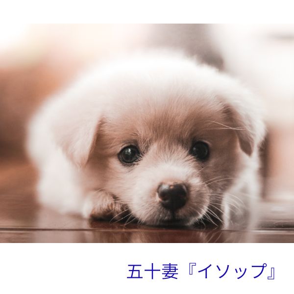 フリーのお客様を付ける優先とかあるの？