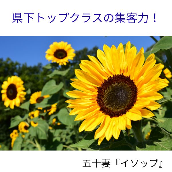 山口トップクラスの集客力！！リンカーングループなら安定して稼げる！！