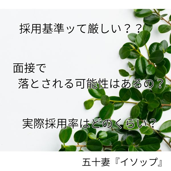 ぶっちゃけ採用率はどのくらい？？