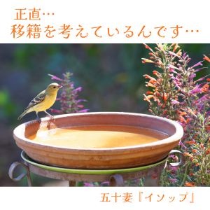 正直…移籍を考えているんです…