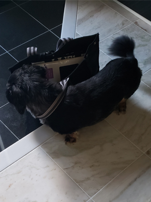 容姿に自信が無い場合、顔出しアリとナシどちらが稼げます？