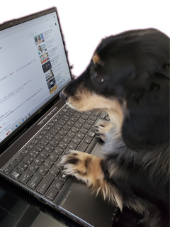 急なお休みにペナルティ等はあるのでしょうか？