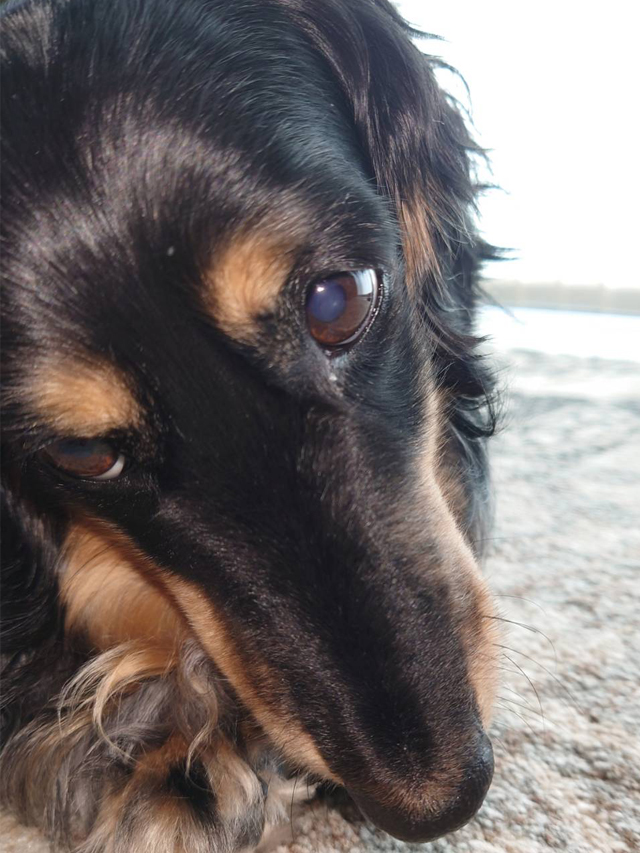 キャストさんと普段からよく会話しますか？