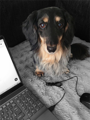 外国人客の受け入れはされていますか？