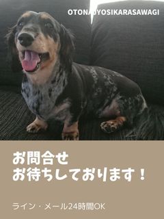 仕事の息抜きにすることはありますか？