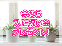 未経験でもすぐに高収入ゲット！