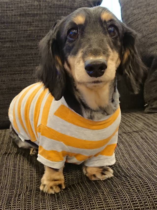 お仕事後に食べたい or 飲みたい物を教えてください！