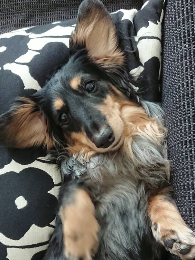 接客にキャラ作りは必須でしょうか？