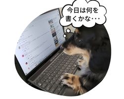 お客様から言われて嬉しかったことはありますか？
