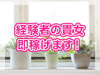 新人キャストさんは入店初日にどれくらい稼ぎますか？