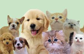 なんと！びっくり！！