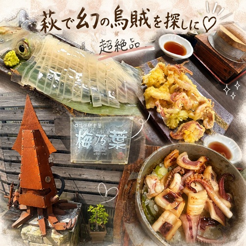 萩で幻の烏賊を探しに！