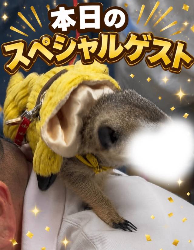 マル秘スペシャルゲスト