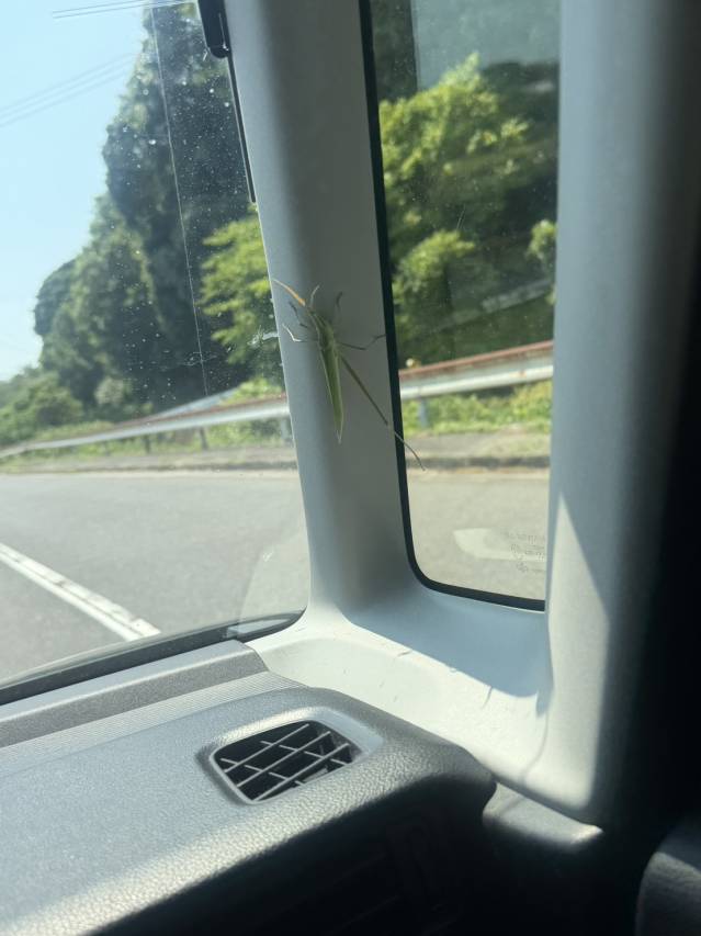 ビックリ！！