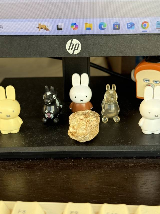 今日で11月最後！明日からは年末に向けてはしろうぜ！