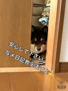 雑費、寮費無料☆
