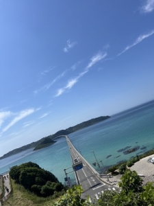 環境重視の方は当店へ