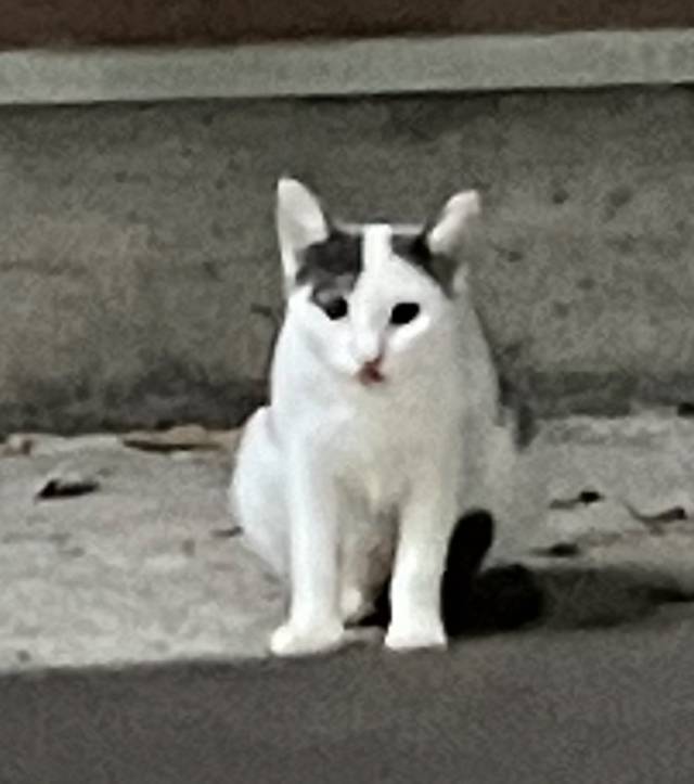 本日のお題！！  『当店では特別手当もありますよ!(^^)!』