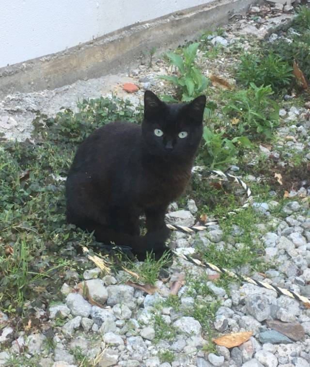 本日のお題 『未経験の方大歓迎です！！』