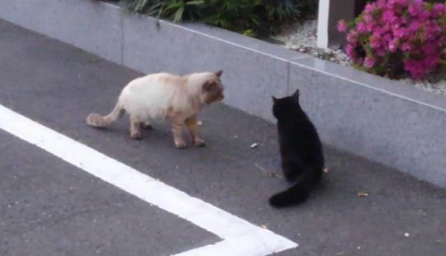 本日のお題！！  『伸びしろしかないお店ですよ(^^)』