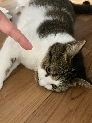 なんだよ