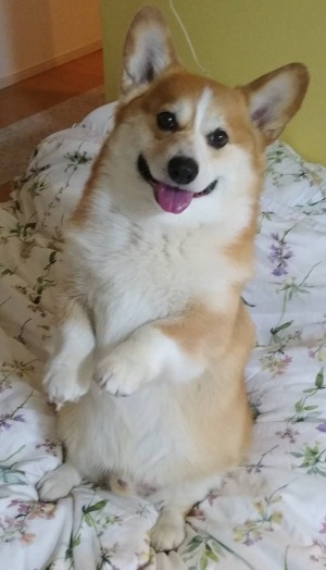 そぅ言えば　ののちゃん